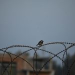 Simple Steps to Setting Up a Secure Guest Wi-Fi Network