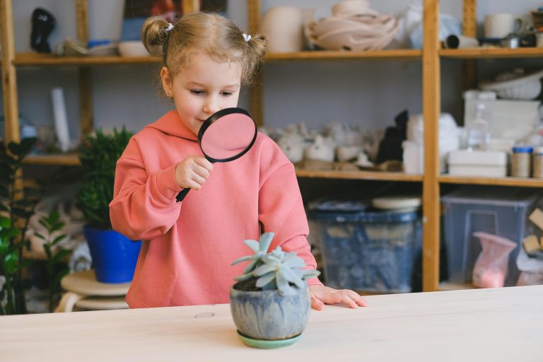 Exploring the Potential of Vertical Gardens for Home Produce