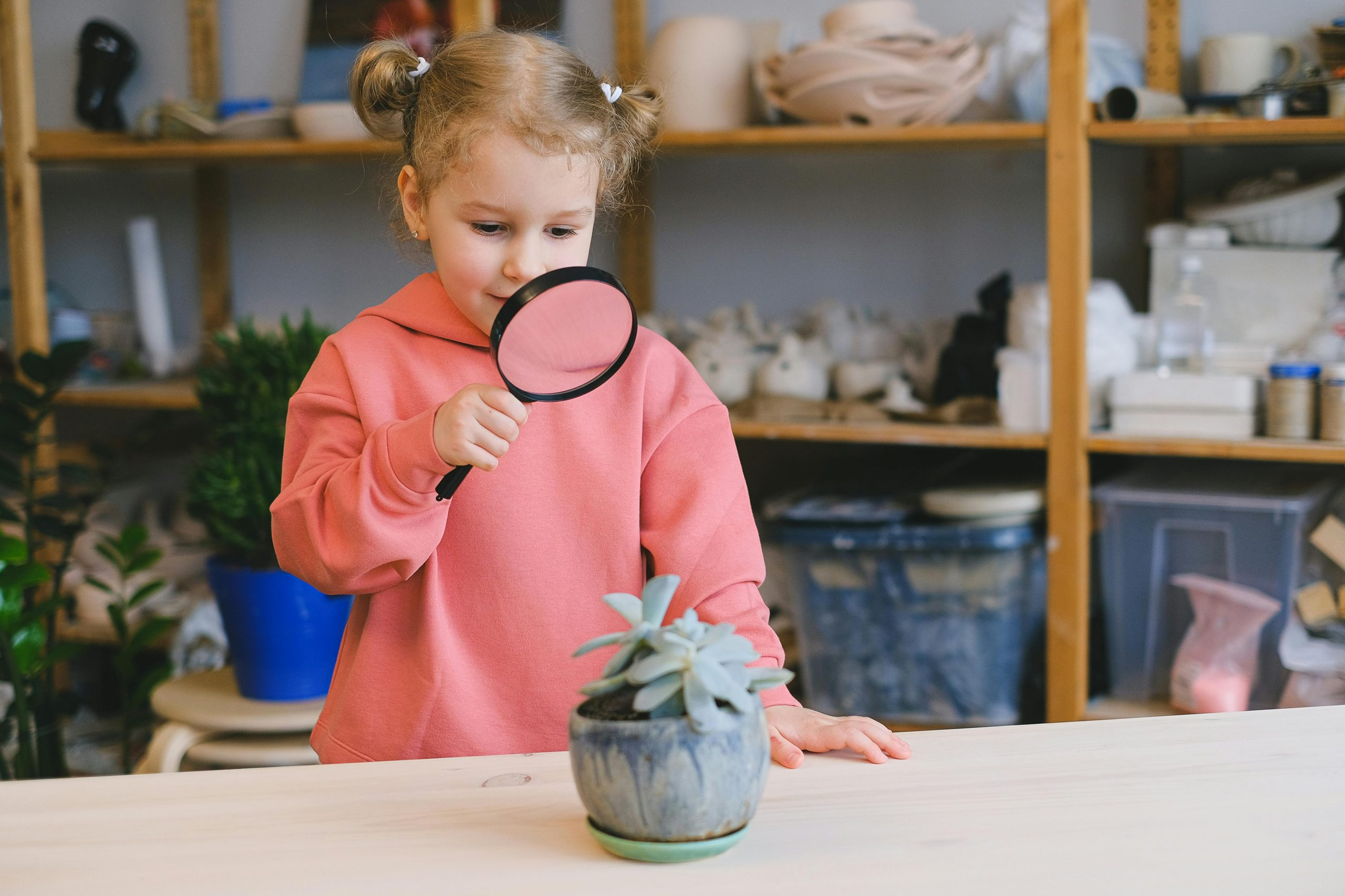 Exploring the Potential of Vertical Gardens for Home Produce