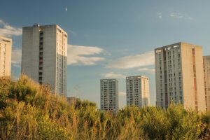 Navigating the Complexities of Elder Law and Estate Planning