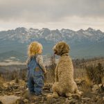 Understanding the Concept of Responsible Pet Travel