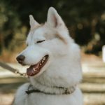 The Critical Importance of Statute of Limitations Awareness