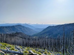 The Essential Guide to Understanding Land Use and Zoning Regulations