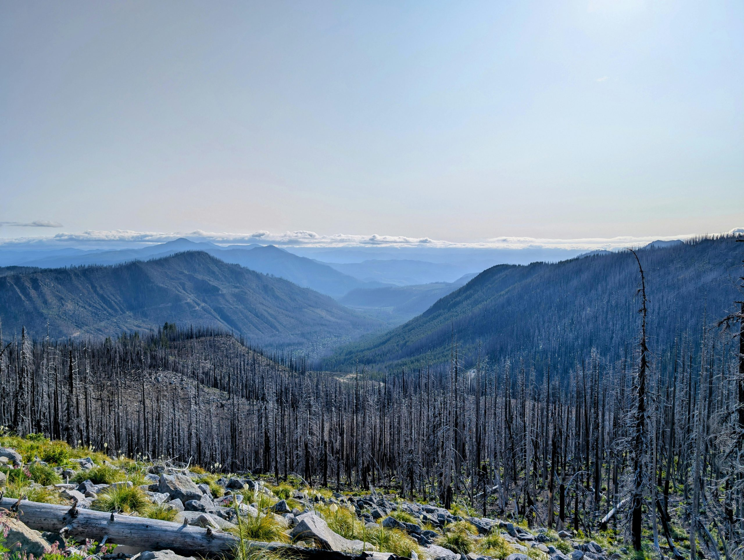 The Essential Guide to Understanding Land Use and Zoning Regulations