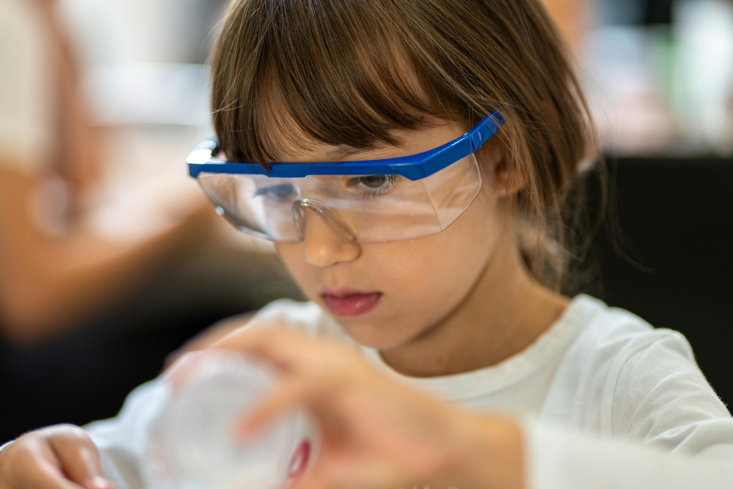 The Future of Legal Education: Skills for a Changing World