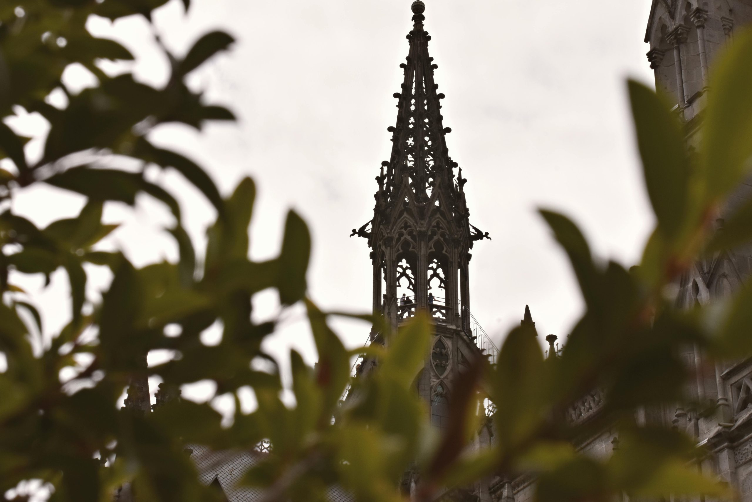 The Importance of Knowing the Store's Refund History