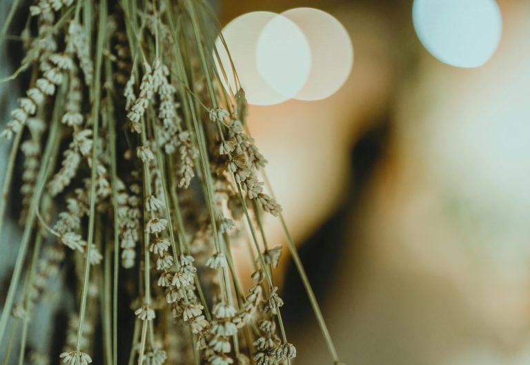 Mastering the Subtle Art of Everyday Minimalism