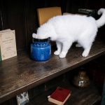 Exploring the Benefits of Automated Investing Platforms Today