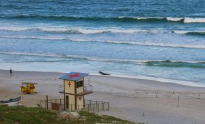 Learning to Delegate Effectively in Your Personal Life